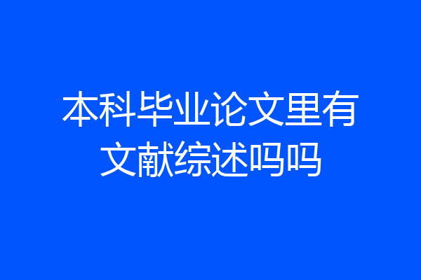 本科毕业论文里有文献综述吗吗