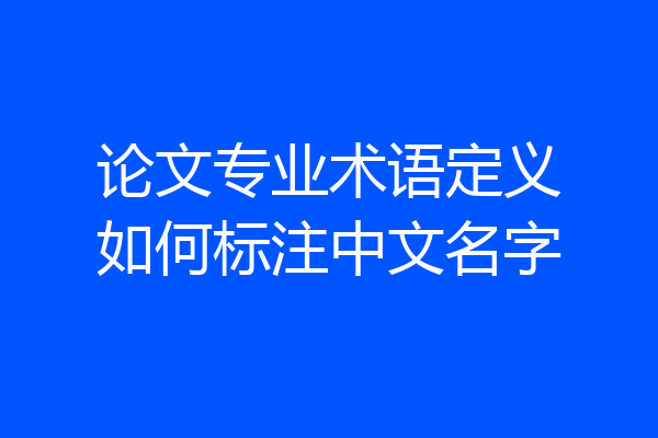 论文专业术语定义如何标注中文名字