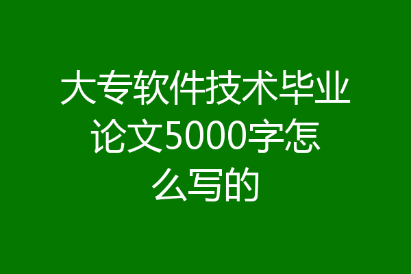 大专软件技术毕业论文5000字怎么写的