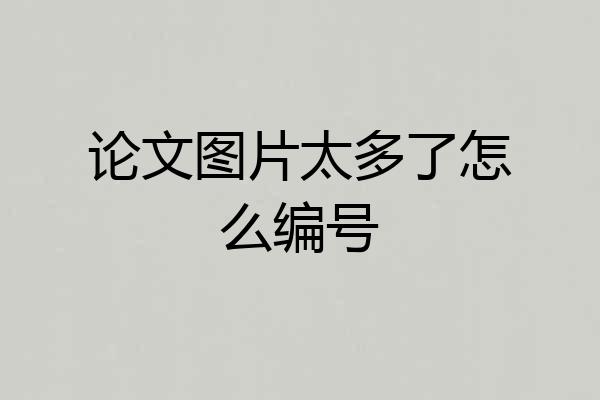 论文图片太多了怎么编号