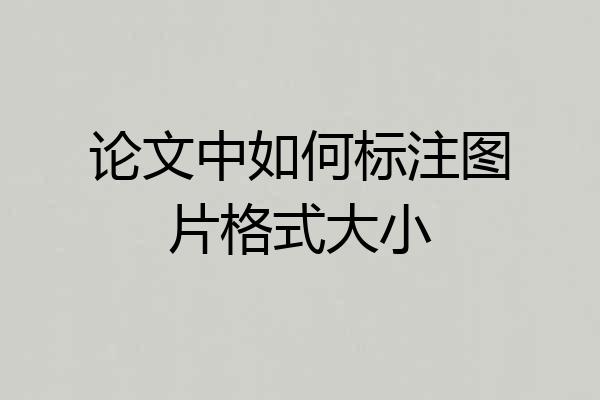 论文中如何标注图片格式大小