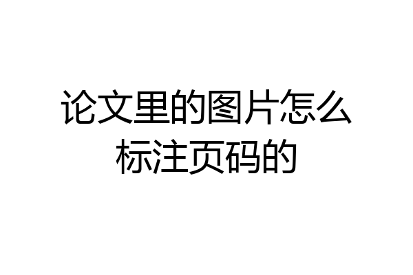 论文里的图片怎么标注页码的