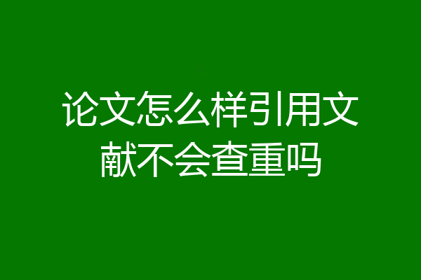 论文怎么样引用文献不会查重吗