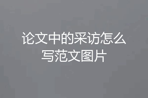 论文中的采访怎么写范文图片