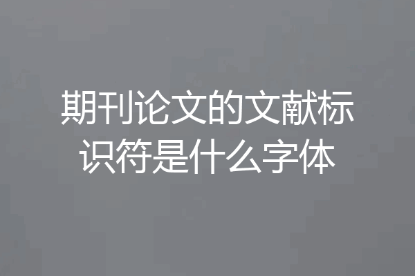 期刊论文的文献标识符是什么字体