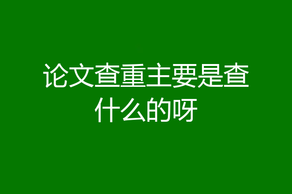 论文查重主要是查什么的呀