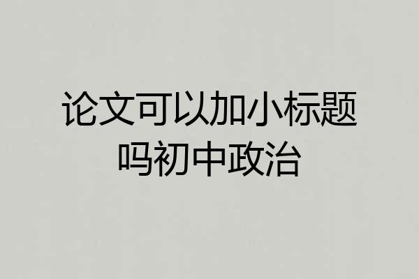 论文可以加小标题吗初中政治