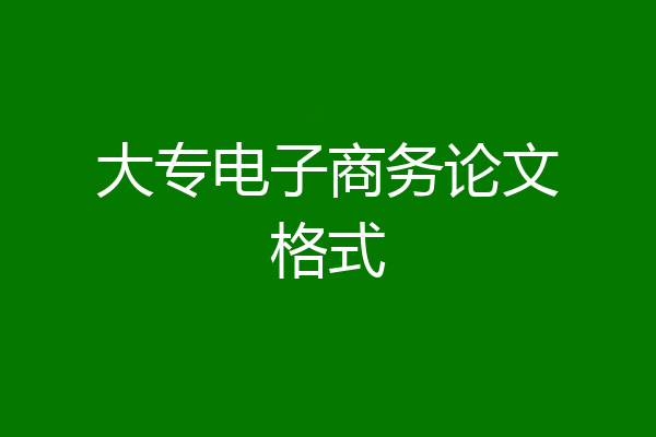大专电子商务论文格式