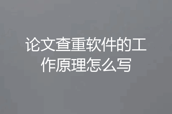 论文查重软件的工作原理怎么写