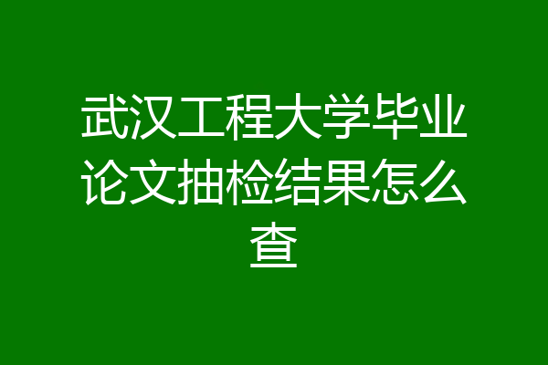 武汉工程大学毕业论文抽检结果怎么查
