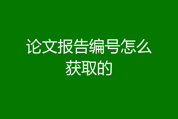 论文报告编号怎么获取的