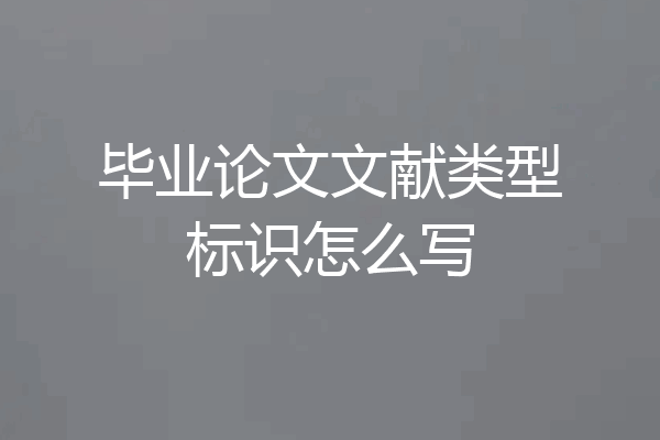 毕业论文文献类型标识怎么写