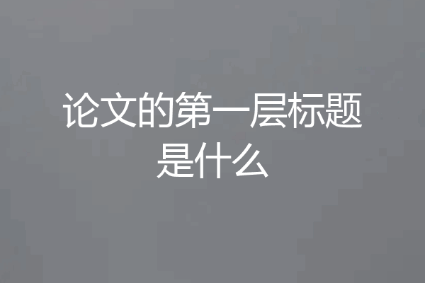 论文的第一层标题是什么