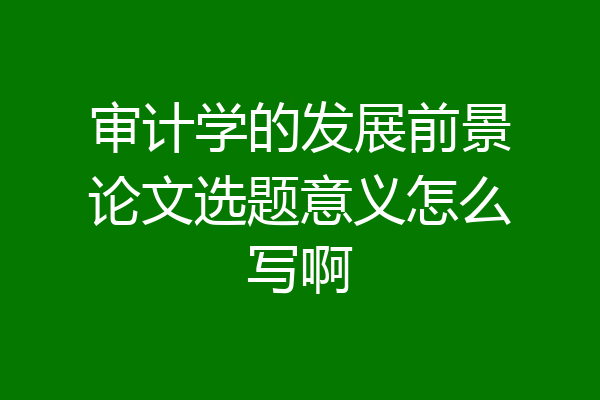 审计学的发展前景论文选题意义怎么写啊