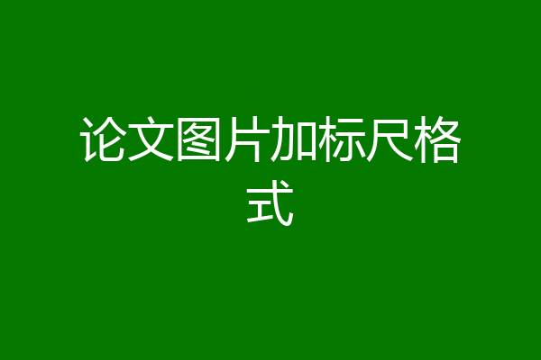 论文图片加标尺格式
