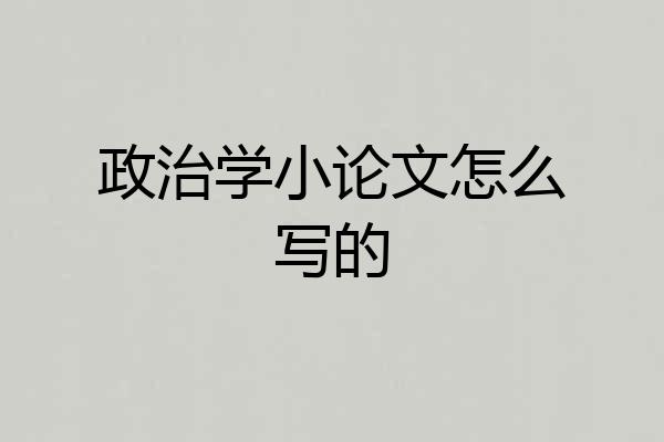 政治学小论文怎么写的