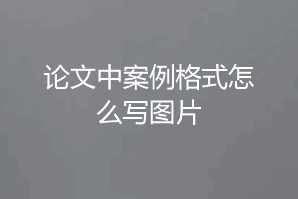 论文中案例格式怎么写图片