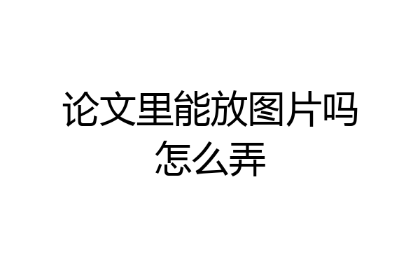 论文里能放图片吗怎么弄