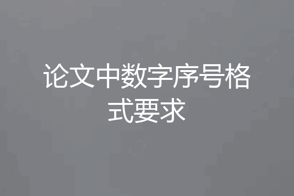 论文中数字序号格式要求