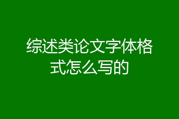 综述类论文字体格式怎么写的