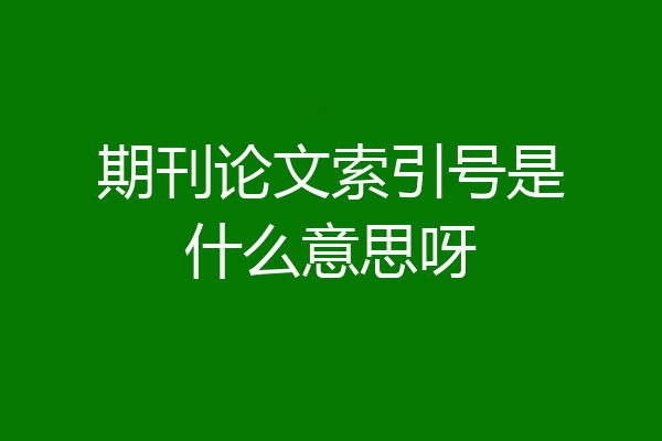 期刊论文索引号是什么意思呀