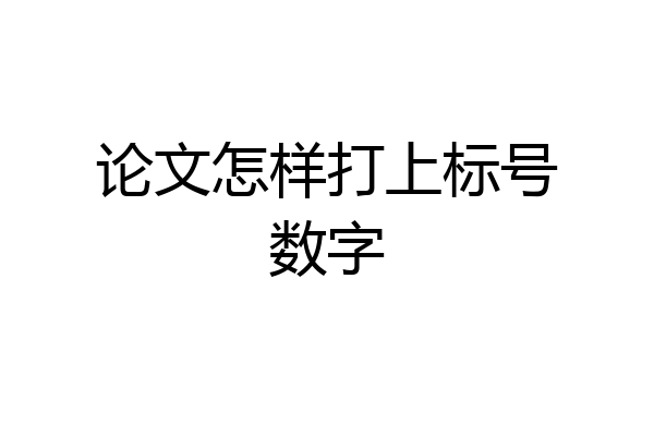 论文怎样打上标号数字