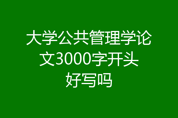 大学公共管理学论文3000字开头好写吗