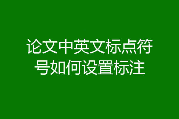 论文中英文标点符号如何设置标注
