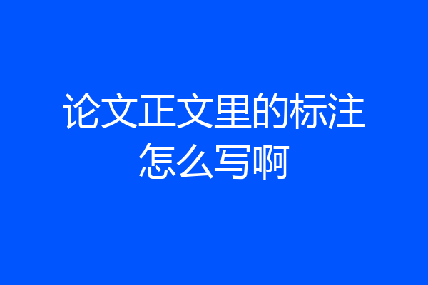 论文正文里的标注怎么写啊