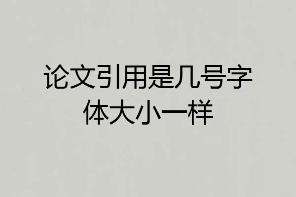 论文引用是几号字体大小一样