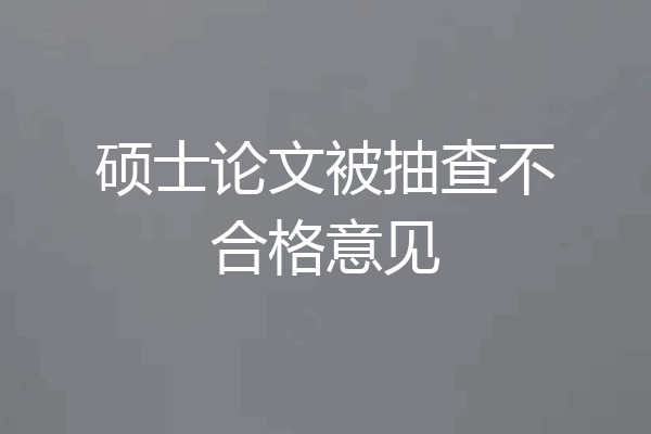 硕士论文被抽查不合格意见
