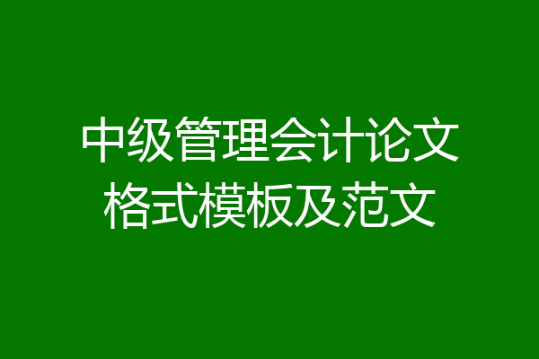 中级管理会计论文格式模板及范文