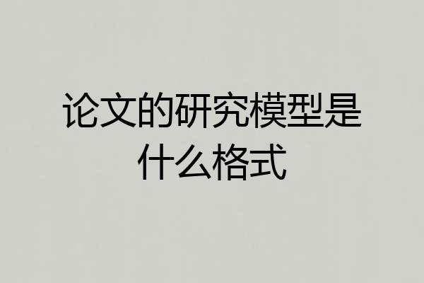 论文的研究模型是什么格式