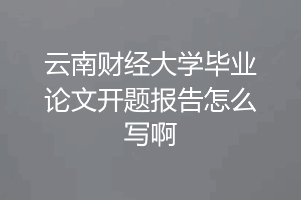 云南财经大学毕业论文开题报告怎么写啊