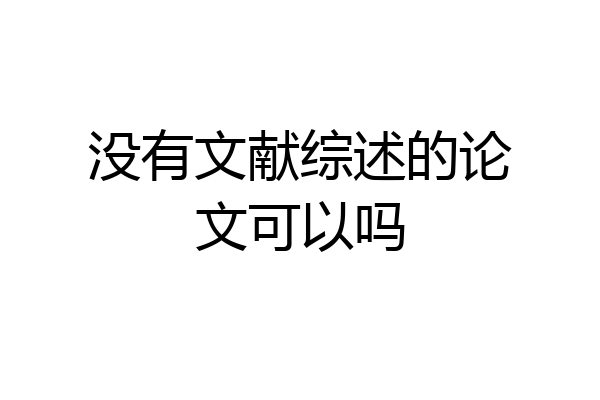 没有文献综述的论文可以吗