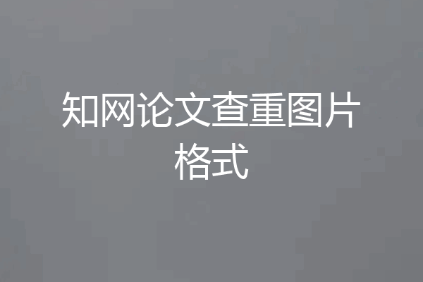 知网论文查重图片格式