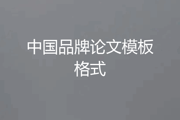 中国品牌论文模板格式