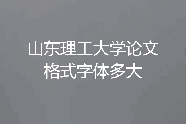山东理工大学论文格式字体多大