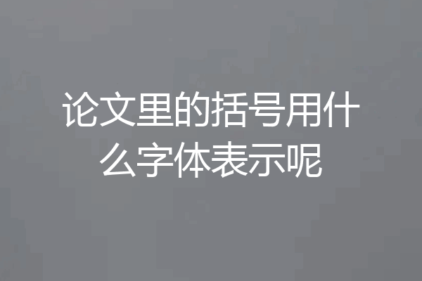 论文里的括号用什么字体表示呢