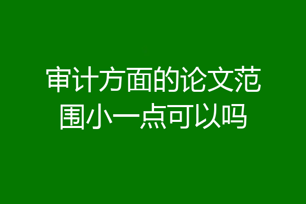 审计方面的论文范围小一点可以吗
