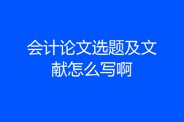 会计论文选题及文献怎么写啊