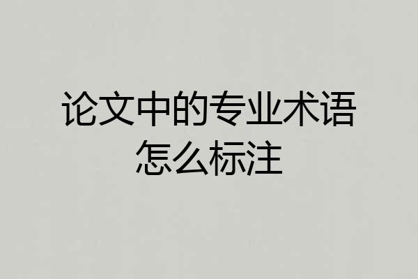 论文中的专业术语怎么标注