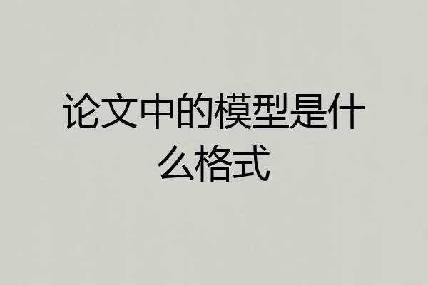 论文中的模型是什么格式
