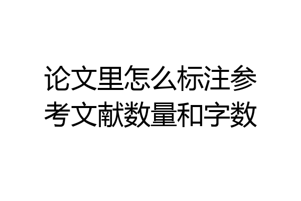 论文里怎么标注参考文献数量和字数