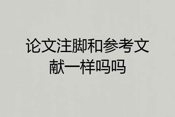 论文注脚和参考文献一样吗吗