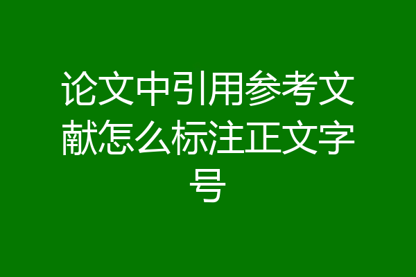 论文中引用参考文献怎么标注正文字号