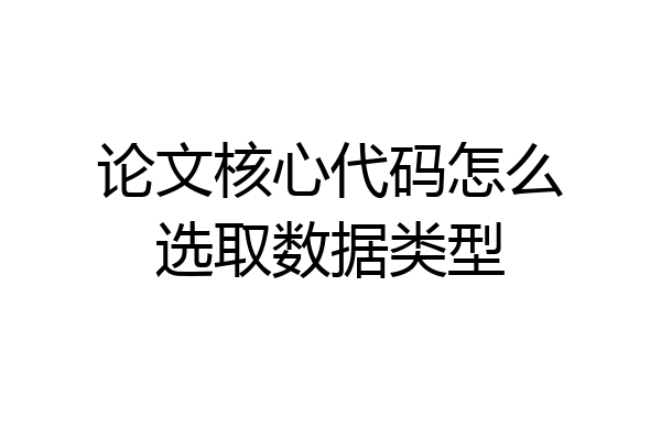 论文核心代码怎么选取数据类型