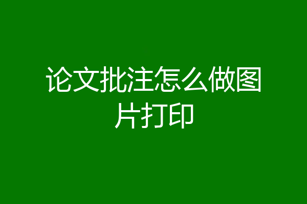 论文批注怎么做图片打印