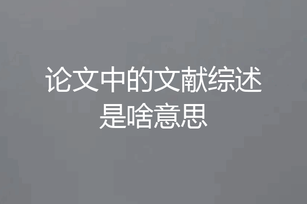 论文中的文献综述是啥意思
