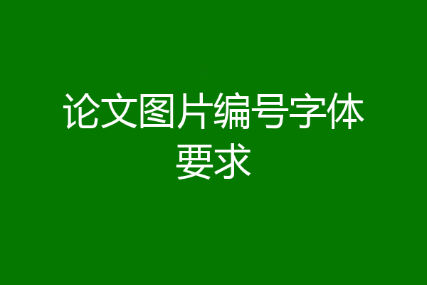 论文图片编号字体要求